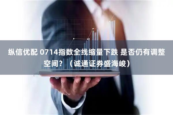 纵信优配 0714指数全线缩量下跌 是否仍有调整空间？（诚通证券盛海峻）